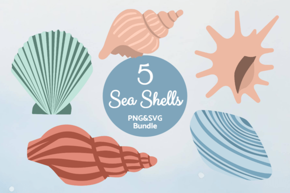 Ocean Shell Collection: Graphics for Crafts